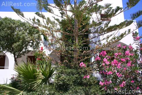 Amaryllis Hotel 5